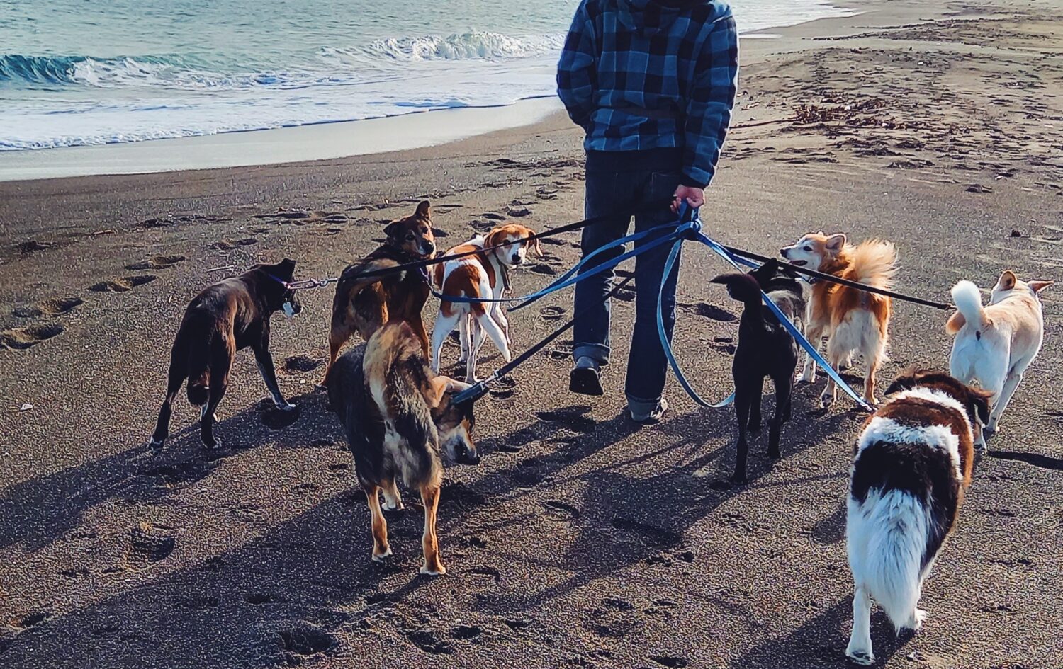 あのコがおしえてくれたこと Ver.2